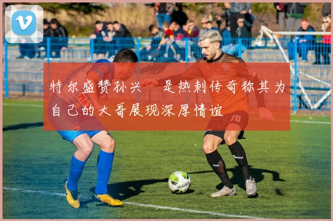 特尔盛赞孙兴慜是热刺传奇称其为自己的大哥展现深厚情谊