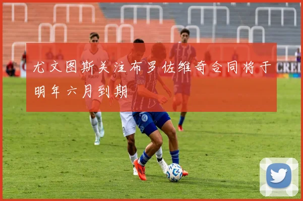 尤文图斯关注布罗佐维奇合同将于明年六月到期