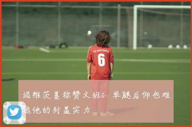 诺维茨基称赞文班：单腿后仰也难逃他的封盖实力
